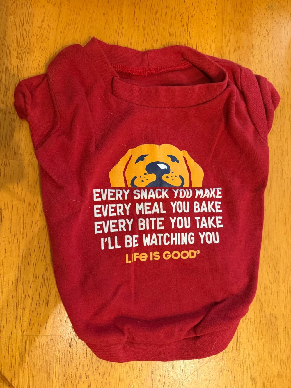 Life Is Good Kids Red Sweatshirt with Yellow Puppy Graphic